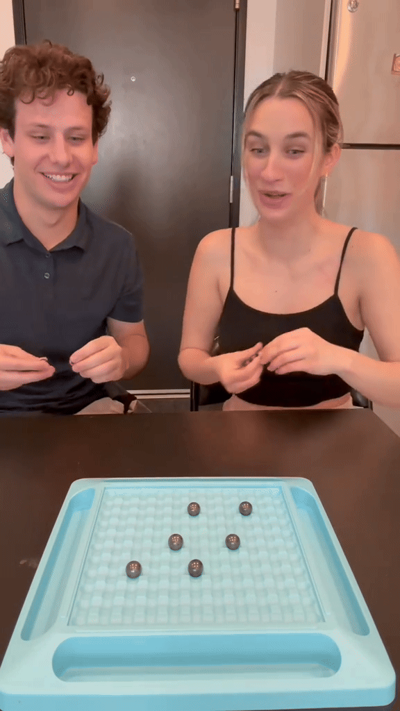 Magnet Game - NO