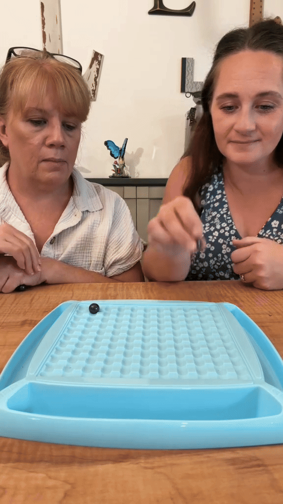 Magnet Game - NO