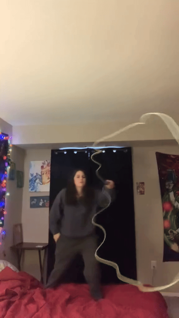 Magnet Game - NO